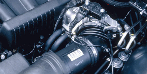 Intake Hose