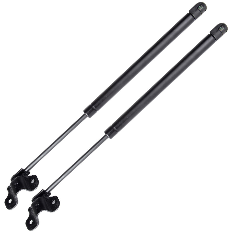 2003-2007 Honda Accord Lift Support Shock Struts 2 Pcs