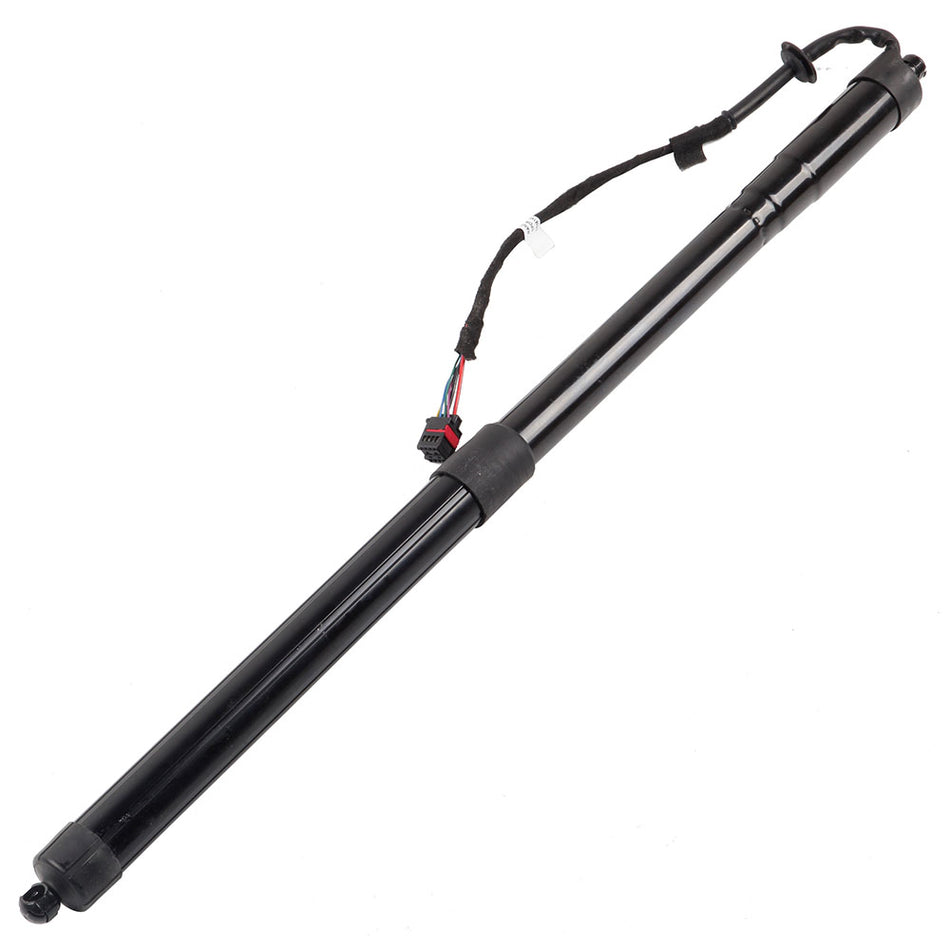 2012-2013 Land Rover Range Rover Sport Lift Support Shock Struts 1 Pcs