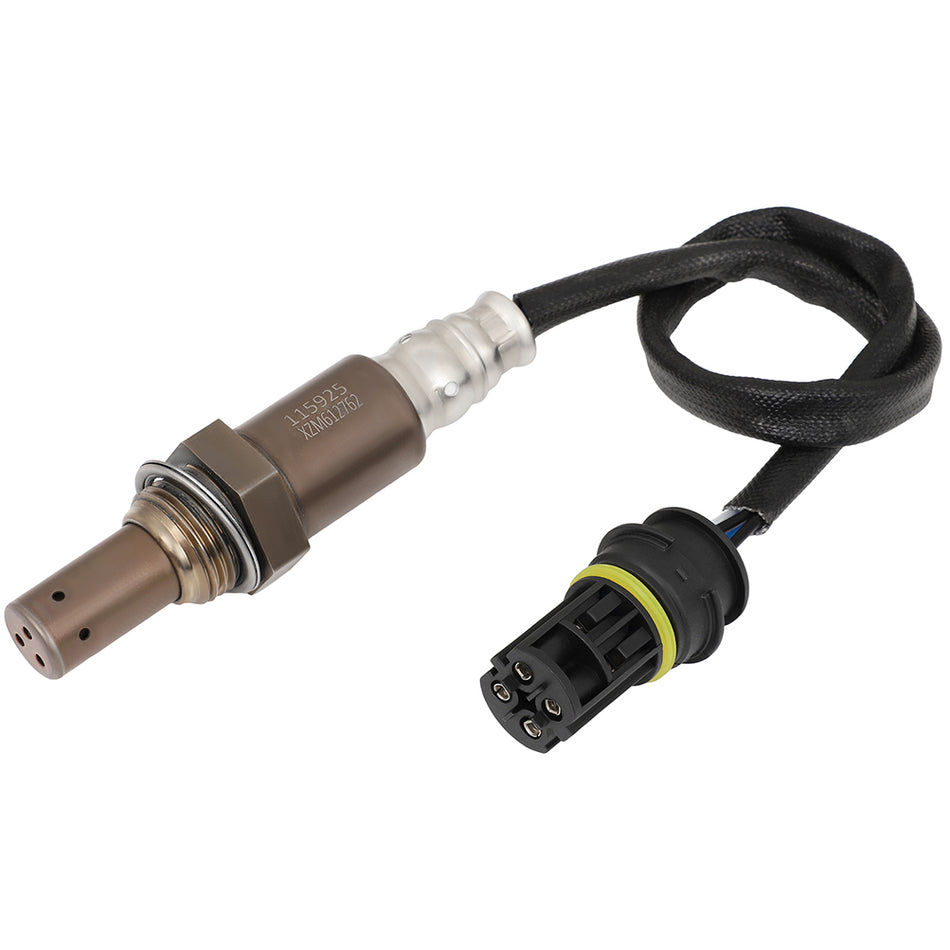 Oxygen Sensor 2000 BMW 323Ci 1999-2000 BMW 323i 2.5L
