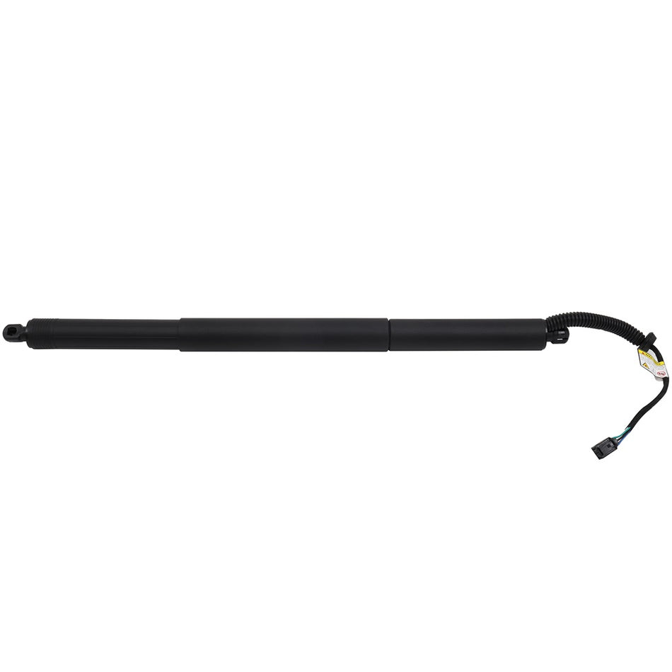 2018-2019 Volkswagen Atlas Lift Supportss Struts 1 Pcs