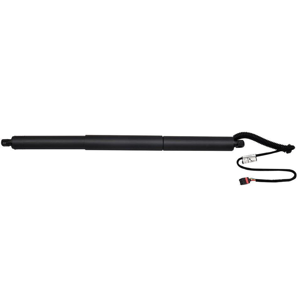 Lift Support Gas Springs Audi 15-19 Q3 15-18 Q3 Quattro 1 Pcs
