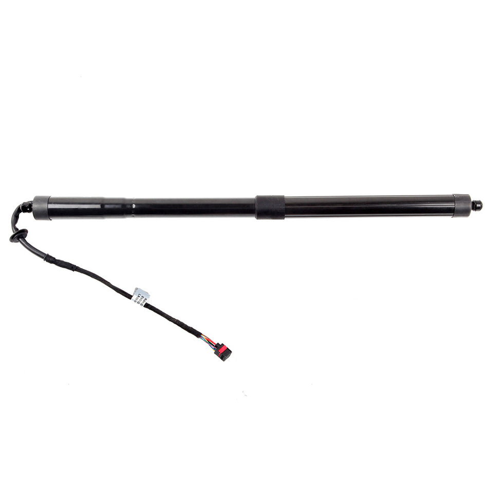 2012-2017 Land Rover Range Rover Evoque Liftgate Lift Supports Rear 2 Pcs