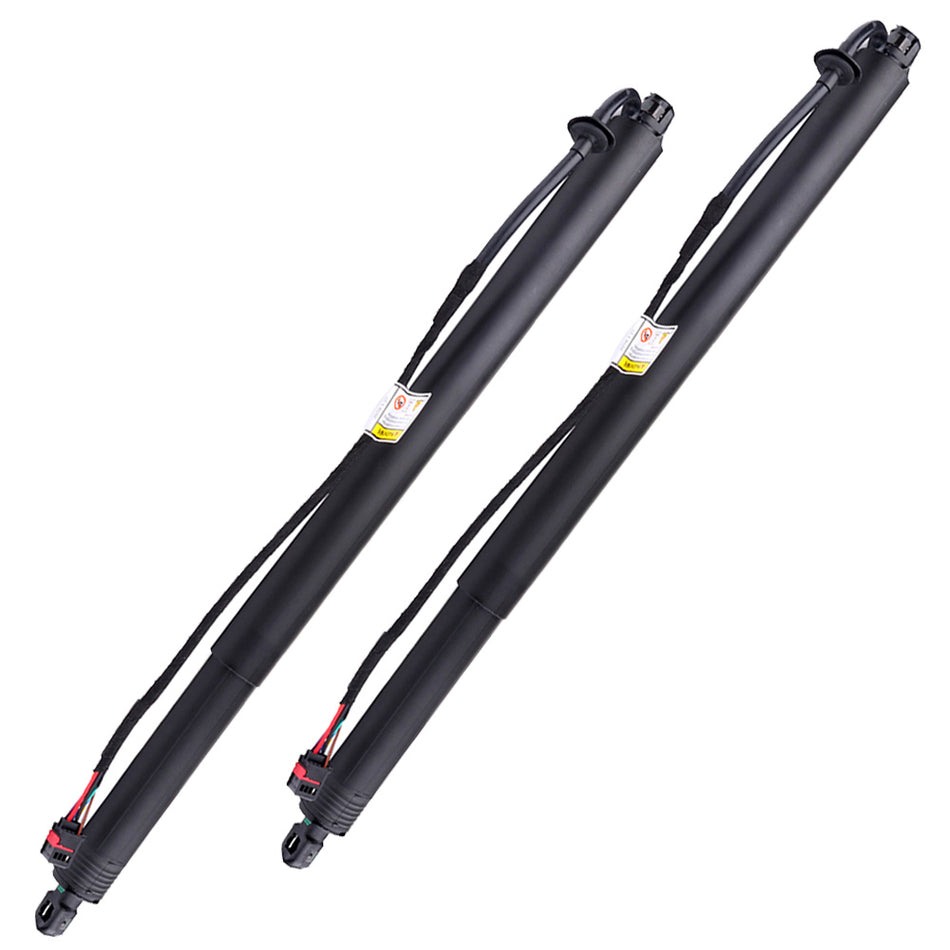 2015-2017 Land Rover Discovery Sport Tailgate Lift Supports 2 Pcs