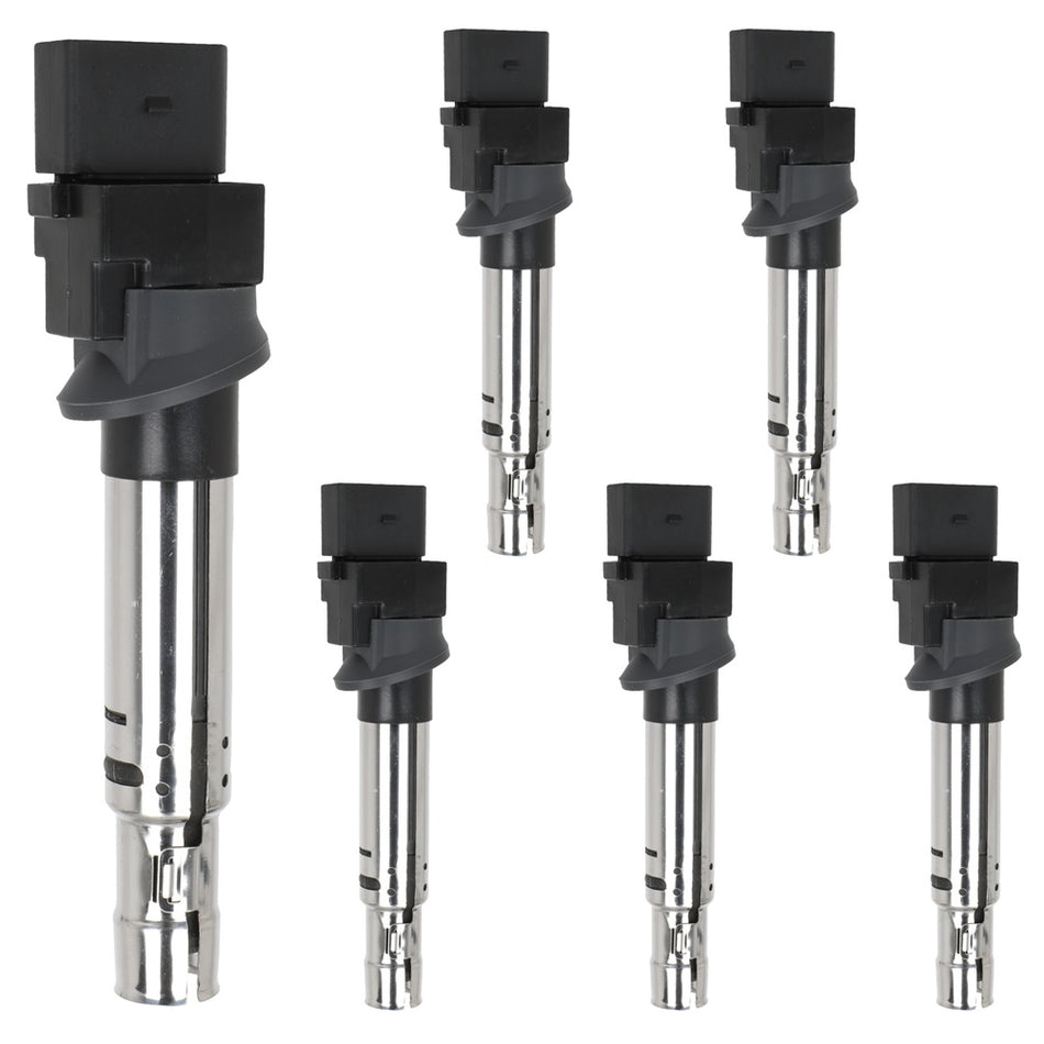 6x Ignition Coils Pack For VW Passat VW CC Touareg Atlas Audi Q7 3.6L